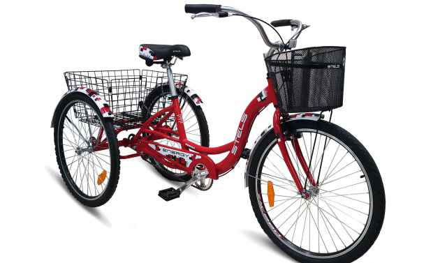 Грузовой трехколесный велосипед Стелс Energy 1