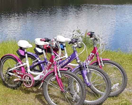3 детских велосипеда Стелс для девочек 5-9 лет