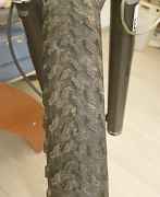 29 покрышки specialized
