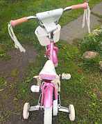 Велосипед детский для девочек Трек Mystic 12
