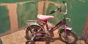 Детский велосипед Пегас