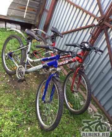 Два новых велосипеда - Фото #1