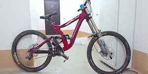 Norco teem DH