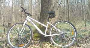 Горный велосипед BiTwin