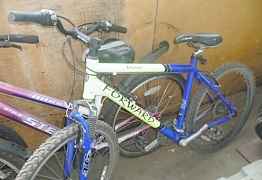 Двухколесный велосипед для взрослых