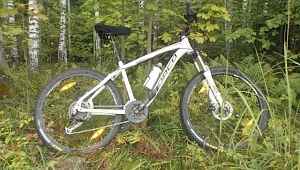 Norco wolverine 2013