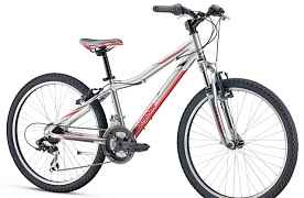 Велосипед Mongoose Rockadile Comp 24 Boys