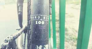 Трюковой велосипед bmx haro 100.3