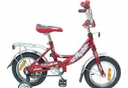 Детский велосипед Рейсер 916-12