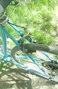 Породам дорожный велосипед " ласточка"