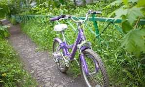 Велосипед детский Стелс пилот 240 girls сиреневый