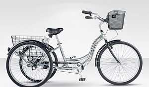 Трехколесный велосипед Стелс Energy III 3 скорости