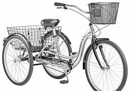 Взрослый велосипед Стелс Energy I