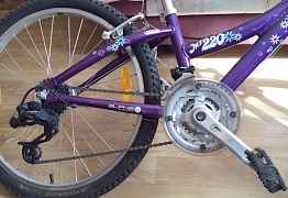 Горный подростковый велосипед Трек MT220 (женский)